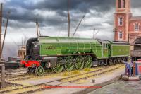 R3983 Hornby P2 2-8-2 Steam Loco number 2007 "Prince of Wales" in LNER Green livery - Era 11